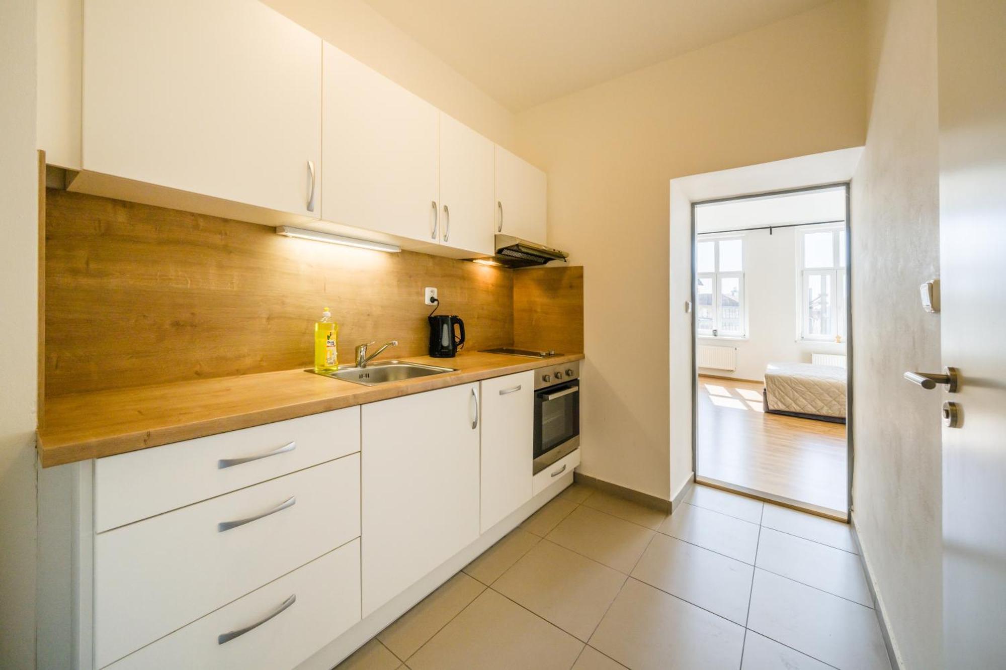 Apartia Vlhka 26, Brno-Center Экстерьер фото